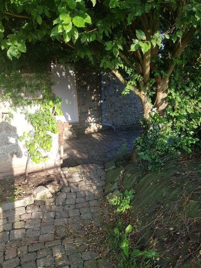 Elevage De La Hurie Saint-Nicolas-de-Pierrepont Esterno foto